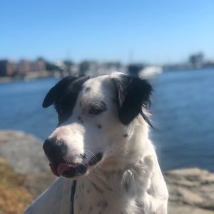 Meet your Posher, Sean